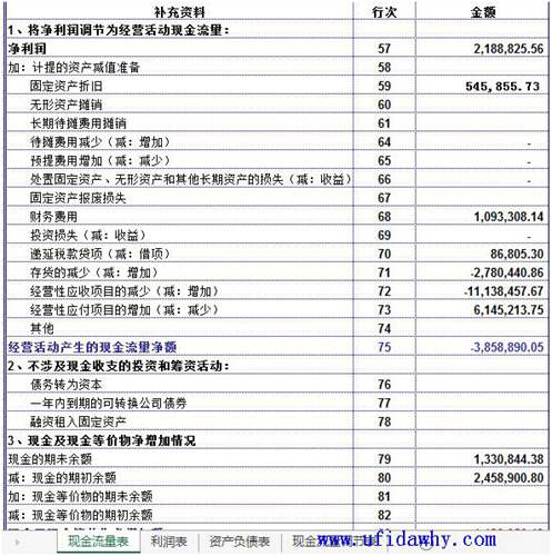 自動生成的現(xiàn)金流量附表圖示